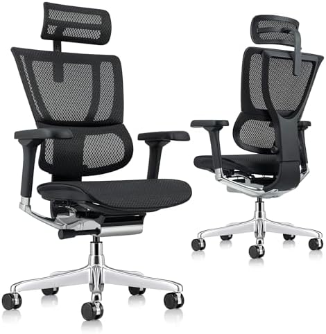 Raynor Ergohuman GEN2 Mesh Office Chair - Thumbnail 2