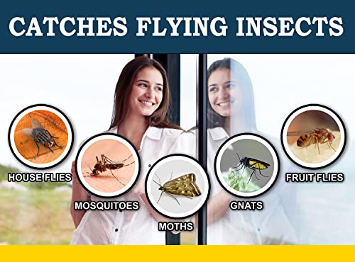 Maxguard Window Fly Traps (24 Xl Traps) Catch & Kill Houseflies, Flying Insects & Bugs. Non-Toxic Sticky Glue Traps Fly Killer Clear Strip Insect Catcher Safe No Zapping With Zapper | #TOP3