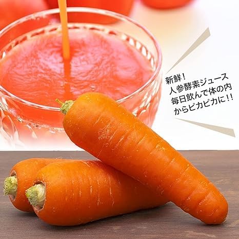 にんじん 人参 国産 ニンジン 人参ジュース にんじんジュース (10kg)