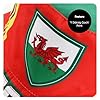 Wales Bucket Hat – Featuring Welsh Flag and Cymru Print – Perfect Accessory for Football Fans World Cup Supporters Rugby Matches Welsh Pride Events Six Nations Headwear Costumes - 1 Pack #2