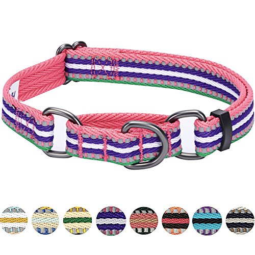 Collier pour petits chiens de promenade multicolore Blueberry Pet - 7