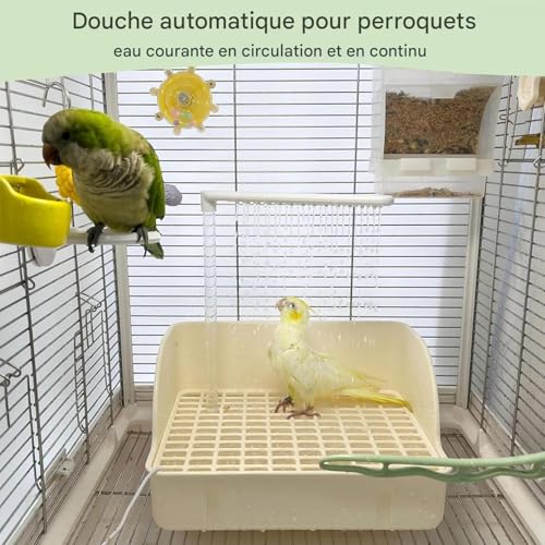 Bain d'oiseaux automatique avec pompe pour stopper le picage des inséparables - 3