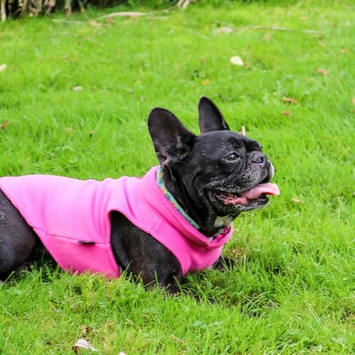 Image of JACKO & CO - Fleece Vest Dog Sweater with Leash Ring - Soft, Warm & Lightweight Pullover Coat for Small & Medium Dogs, Puppies & Cats - Cozy Fall /Winter /Spring Pet Jacket (Pink, XX-Large 25-35lbs)
