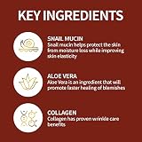 [The Skin House] Wrinkle System Essence 50ml Firming Nutrition & Replenishing - Esencja odżywcza i nawilżająca dla szorstkiej i starzejącej się skóry - kosmetyki koreańskie