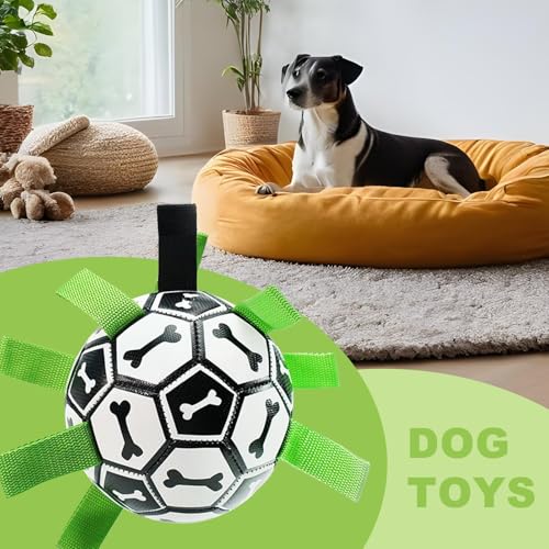 Jouet d'eau indestructible pour chiot et accessoire à mâcher