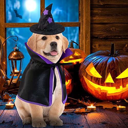 Goyoswa Dog Halloween Costumes Dog Witch Cloak Cape Wizard Hat Halloween Costumes For Dogs Small Medium Large Breed (Small) #TOP5