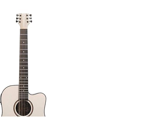 Amazon.com: Oscar Schmidt OD312CEWH-A OD312 12-String Acoustic