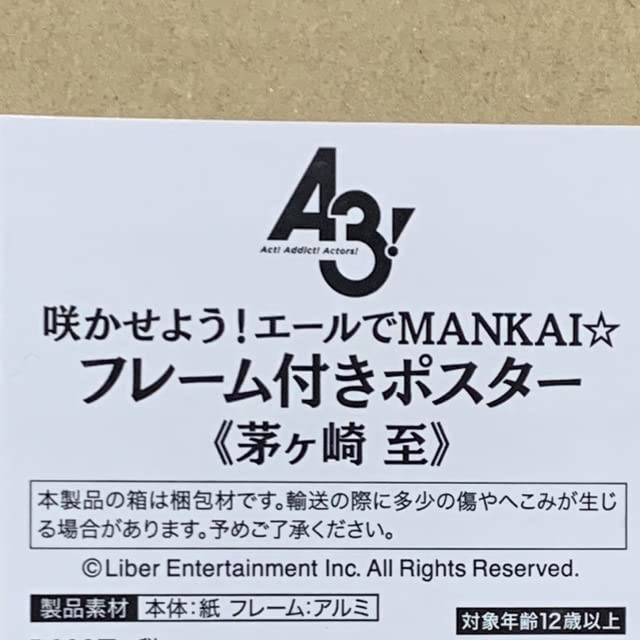 Amazon.co.jp: A3 エースリー 茅ヶ崎至 ビッグクッション フレーム付き 