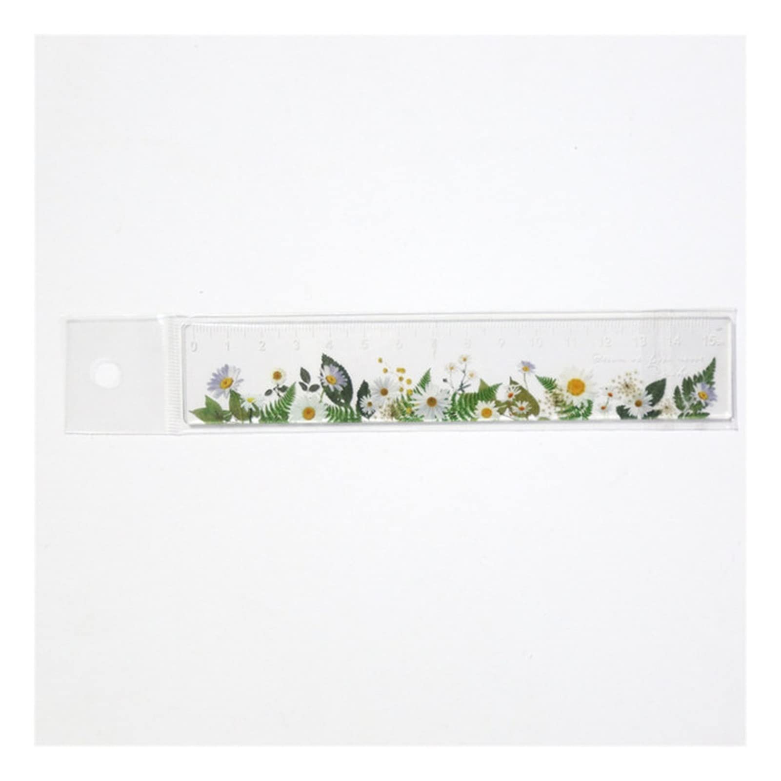 Lineal, 15cm DIY Zeichenwerkzeuge Transparent Messlineal Zeichenbedarf Niedliches Schreibwarenset(United States)