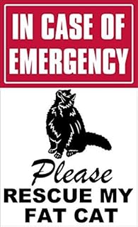 Magnet in Case of Emergency Please Rescue My Fat Cat Magnetic Sticker (fire Save Decal)