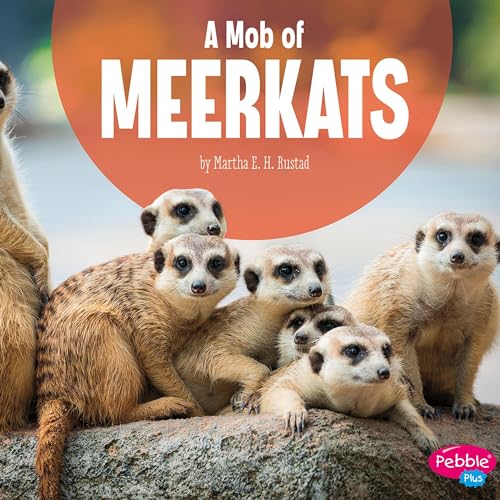 A Mob of Meerkats by Martha E. H. Rustad episode artwork