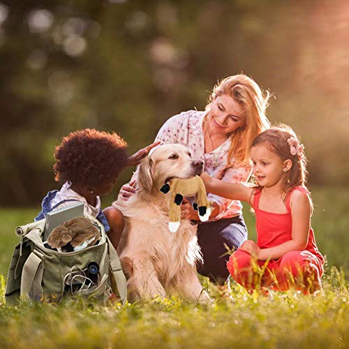 Nocciola 5 pcs Crinkle Dog Squeaky Toys with Double Layer Reinforced Fabric, Durable Dog Toys, No Stuffing Plush Dog Toy Set for Small to Large Dogs