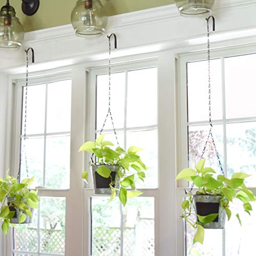 Decorative Iron Metal Wall Hook Plant Hanger Bracket Shepherds Hook Lantern Wall Hanger For Hanging Plants Outdoor, Bird Feeders, Rustic Home Decor (6 Pack White) #TOP3