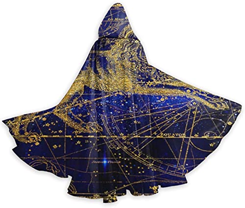 Mystic Tarot Astrologie Golden Lion Halloween Cape à capuche pour adulte Homme et femme Accessoires de fête Cosplay Vêtements Cadeau Costumes
