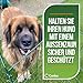 Conka Pets – Maschendraht - Hundezaun: 1 m hoch, springsicher, geeignet für alle Hundegrößen. Leicht, faltbar, mobil – schließt Öffnungen bis 1,5m