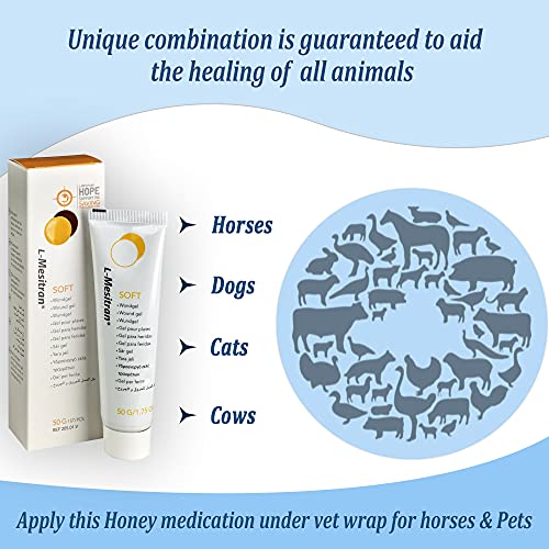 Gel de ferimento de mel médico para cavalos da L-Mesitran – Pomada de cura veterinária para animais
