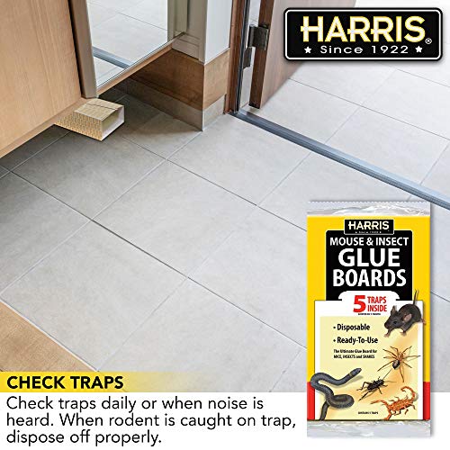 Harris Mouse & Insect Glue Boards, 5 Pre-Baited Traps #TOP5