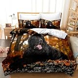 SJSXWQN Parure de Lit 220x240 cm Adulte Terre-Neuve Noir Housse de Couette 2 Personnes avec Fermeture Éclair Doux Respirant Microfibre Housse de Couette et 2 Taie d'oreiller 65x65 cm