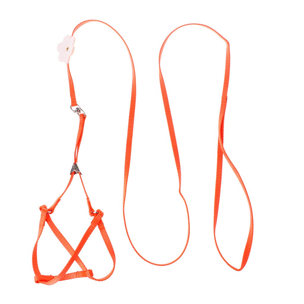 JONbinbkl Adjustable with Elastic Leash for Bird Easy Control Harness Leash Vest Flying for Cross Band, Orange