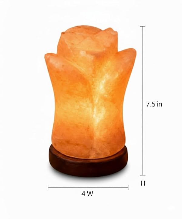 NatureBoost HL Himalayan Pink Salt lamp Flower Shape with Wooden Base, dimmer Switch and a Pair of 15W Bulbs. Unique Gift Idea by NatureBoost - Image 2