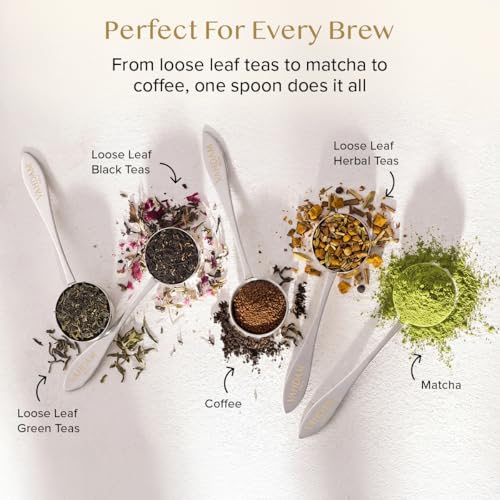 Miniatura 2 de Vahdam, Cuchara De Té Perfect Serve Cucharas De Té De Acero Inoxidable Cuchara Mini De Medición Perfecta Para Preparar