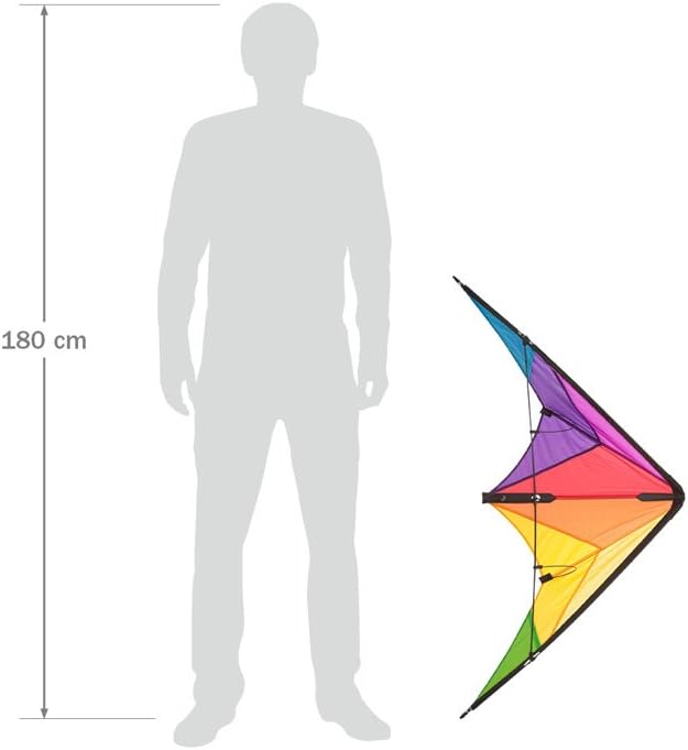HQ Kites Beach and Fun Calypso II Radical- Beginner Stunt Kite - 43 Inch Dual - Line Sport Kite, Color: Rainbow - Active Outdoor Fun for Ages 8 Years and Up - Perfect for Adults or Children