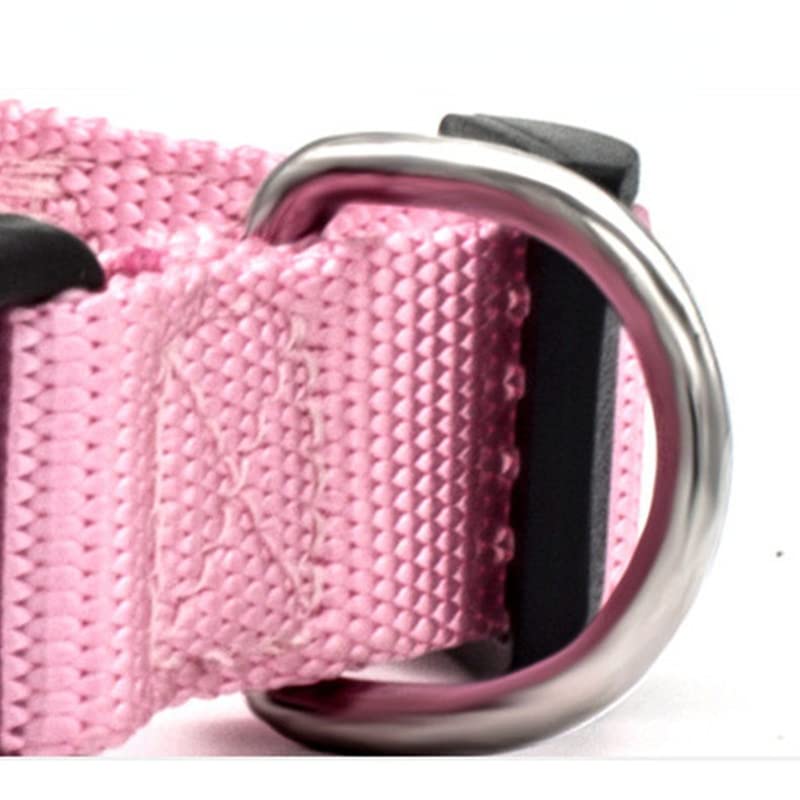 Collari Pecore [ ANIMALI Giugno - Foto 12