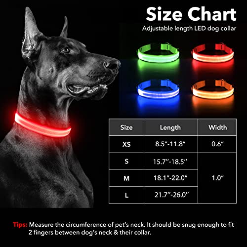 Illumifun Led Dog Collar, Usb Rechargeable Lighted Dog Collar, Nylon Webbing Glowing Safety Dog Collar Make Your Dogs Safe& Seen Walking At Night(Red, Large) #TOP5