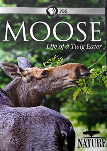 Nature: Moose - Life of a Twig Eater