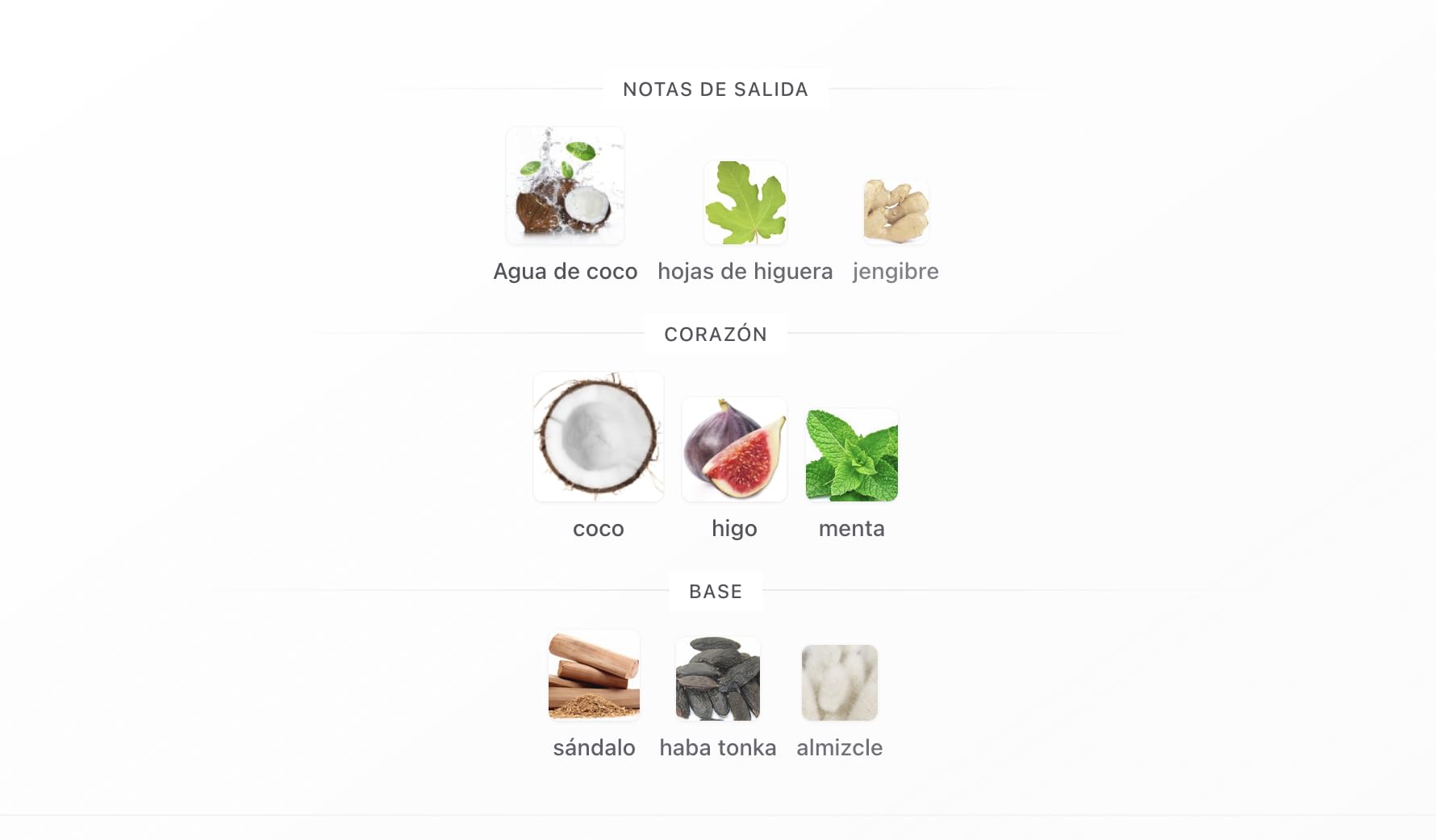 Rasasi Hawas Tropical Eau de Parfum 100ml, Perfume Árabe para Hombre de Larga Duración, Incluye Atomizador Recargable, Fragancia con Notas de Agua de Coco, Higuera, Menta y Haba Tonka (Hawas Tropical)