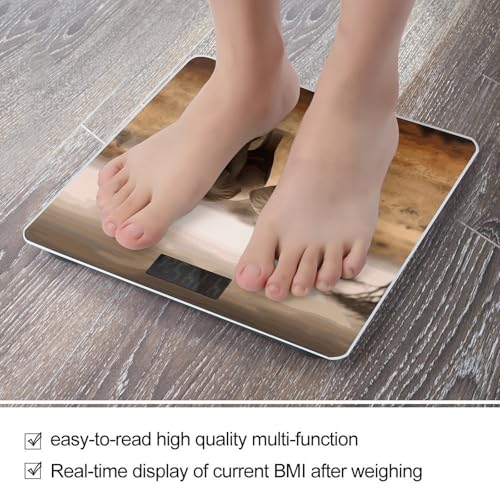 Báscula digital de baño con vidrio templado y pantalla LCD miniatura 5