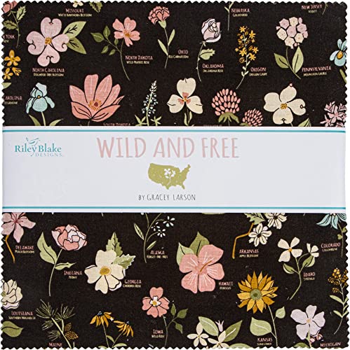 Gracey Larson Wild And Free 10" Stacker 42 10-Inch Squares Layer Cake Riley Blake 10-12930-42 #TOP7