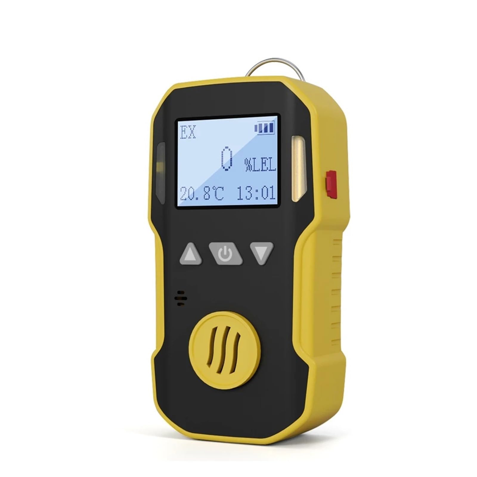Portable Industry H2/CO/PH3/CO2/H2S/NH3/O2/NO2/NO/EX/CH4 Gas Detector High Precision Gas Leak Tester Quick Detection(H2S-0-100ppm-1)