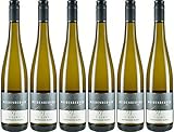 6x 2020 Sauvignon Blanc S-Line trocken - Weingut Weidenberger Hof