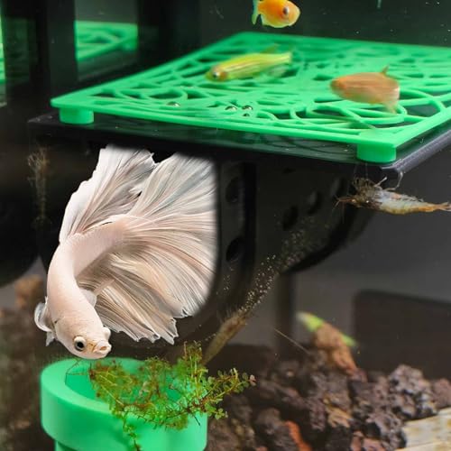 Image of Betta Fish Tunnel, Betta Ledge Aquarium Hideout Cave, Fish Tank Decoration