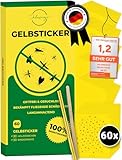 60x Gelbsticker Trauermücken | Testsieger - Sehr Gut | Gelbtafeln inkl. Befestigung | Effektive...