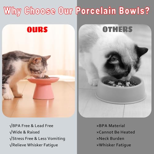 Image of Extra Wide 6.1 inch Raised Cat Food Bowl, Shallow Ceramic Elevated Cat Feeder Bowl, Anti Vomiting, Stress Free, Whisker Fatigue, Pet Food or Water Bowl, Pink