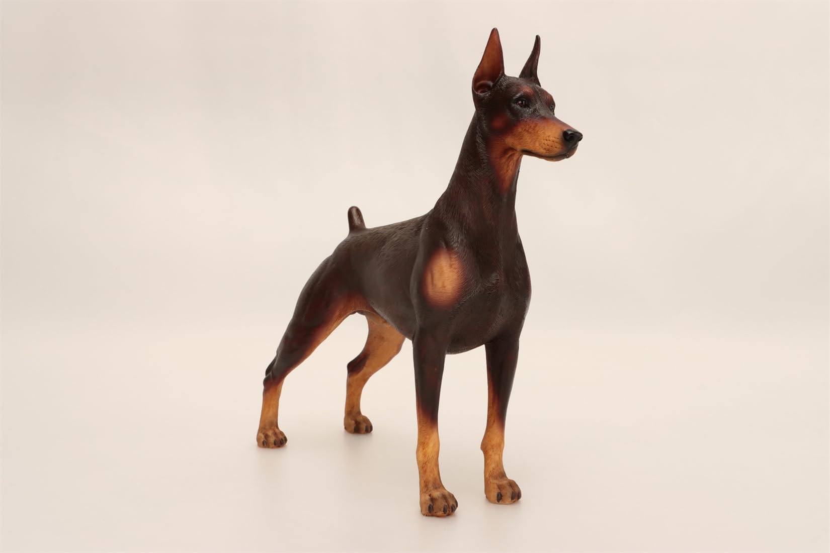 Amazon.com: WLNTDOLA Mr.Z Studio 1:6 Scale Dobermann Figure