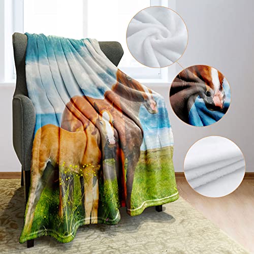 Tslook 60X80 Blankets 2 Horses Standing On The Grass Blue Sky Grass Natural Landscape (Color 4) #TOP1