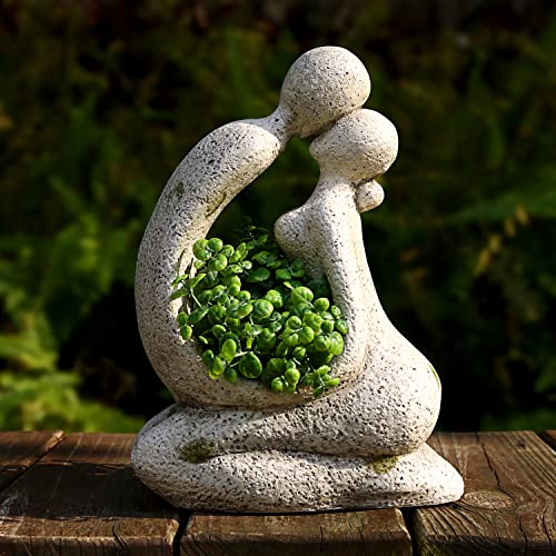 Consejos y comparativas para Comprar Pata de elefante planta para comprar hoy. 17 Consejos y comparativas para Comprar Pata de elefante planta para comprar hoy. 17