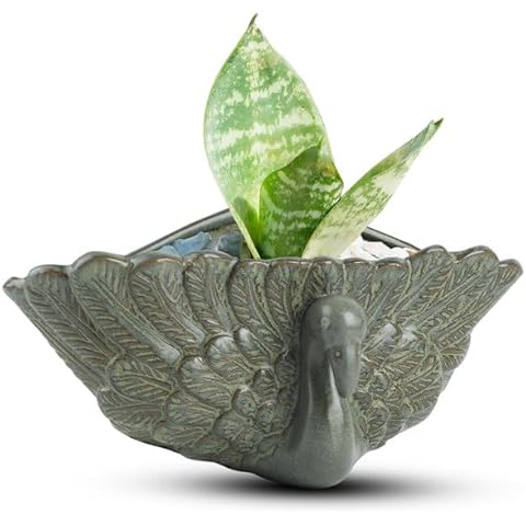 Mozing Retro Succulent Planter Ceramic Flower Pot for Indoor Outdoor, Cactus Planter Pot with Drainage Hole for Home & Office Decor Cover