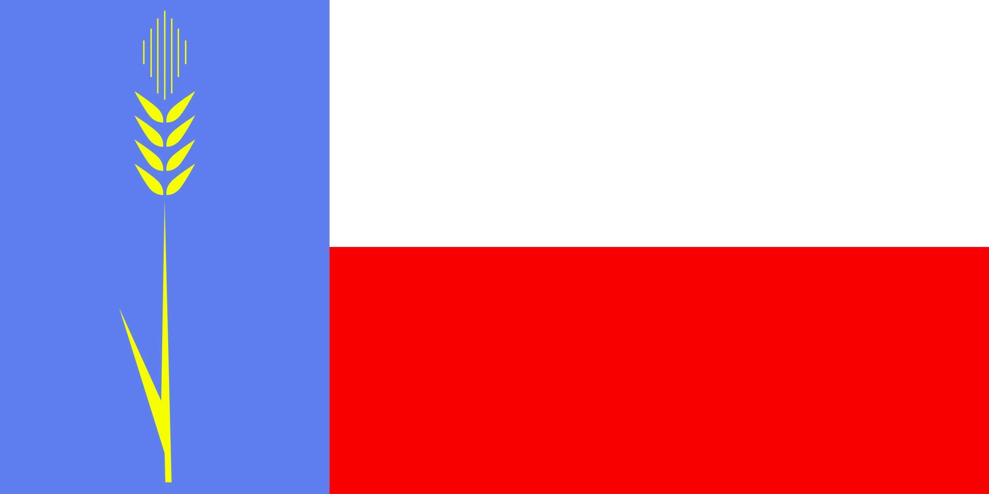 Drapeau Klintsovsky District Briansk grand pavillon extérieur