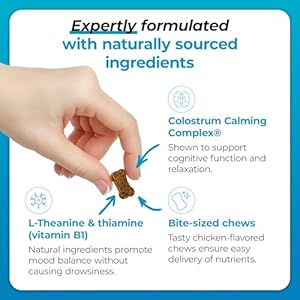 VetriScience Composure Calming Chews for Dogs – Clinically Proven Dog Anxiety Relief Supplement with Colostrum, L-Theanine & Vitamin B1 for Stress, Storms, Separation & More – 60 Count, Chicken Flavor