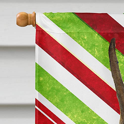 Drapeau Boxer de Noël résistant aux intempéries pour animer une entrée triste - 4