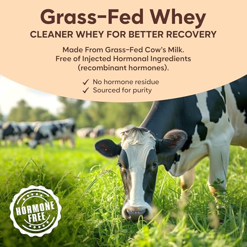 Image of Foodstrong Next-Gen Whey Protein Isolate + Concentrate, 100% Hormone Free Grass-Fed Whey, 26G Protein, Chocolate (Cacao), With Turmeric, Probiotics & Natural Digestive Enzymes For Easy Digestion, Single Serve Sachet, 35G