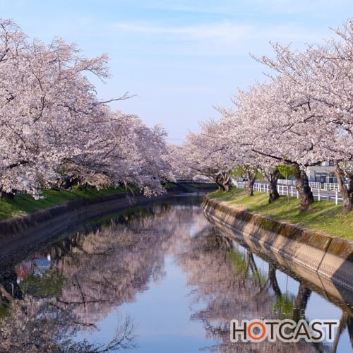 今更ハマるカメラ沼 #1048