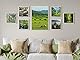 Spotjoy Bilderrahmen 21 x 29.7cm Din A4, MDF-Rahmen Holzrahmen mit Acrylglas Fotorahmen für Tisch- und Wandmontage Echtholz Passepartout Dokumentenrahmen Zertifikatsrahmen, Weiß