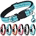 Hund und günstig Kaufen-AUAUY Reflektierend Halsband Hund, Verstellbares Atmungsaktives Hundehalsband, Weich Gepolstertes Neopren Nylon Hunde Halsband mit Doppel-D-Ring und AirTag-Hülle für Kleine Mittel Große Hunde(Blau-S)
