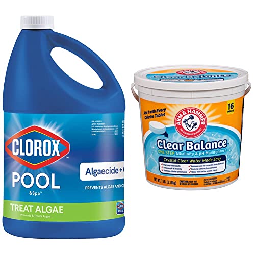 Top 10 Algaecide For Pool Clorox of 2022 Katynel