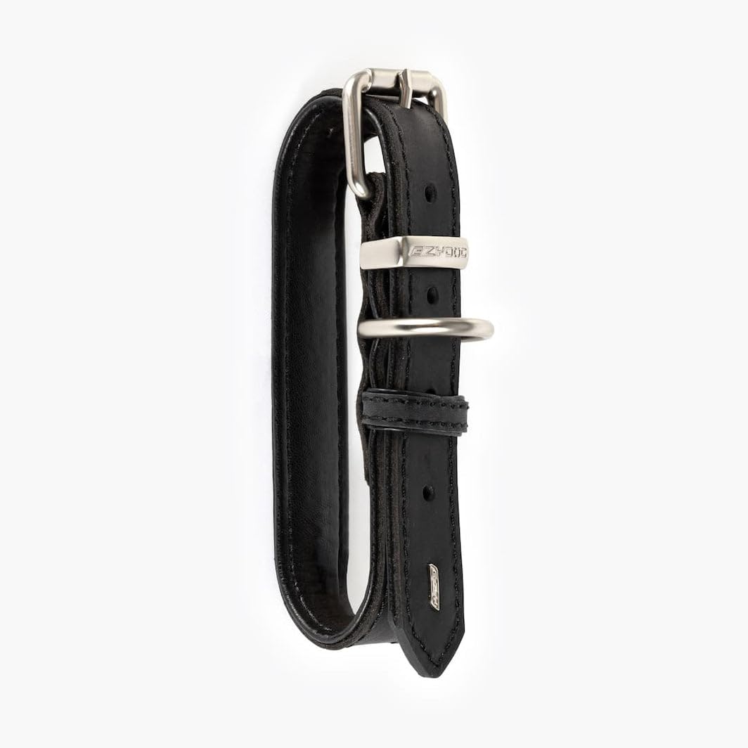 EzyDog Oxford Collier en cuir de qualité supérieure pour chiens de petite et grande taille en cuir naturel, réglable et rembourré (M, noir)
